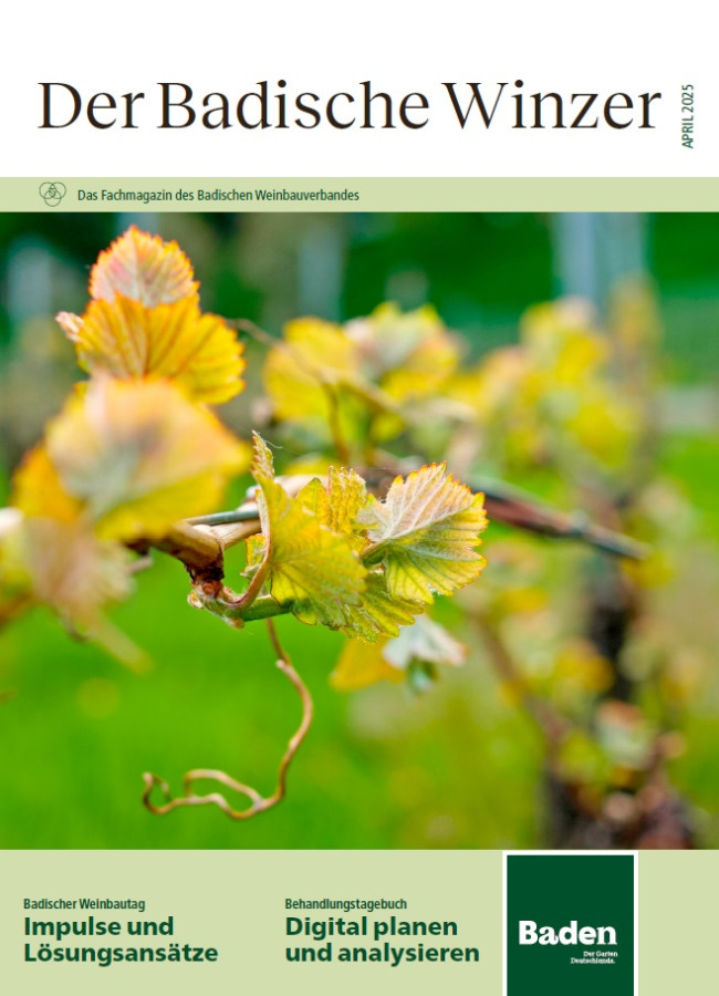 Ausgabe 4/2025