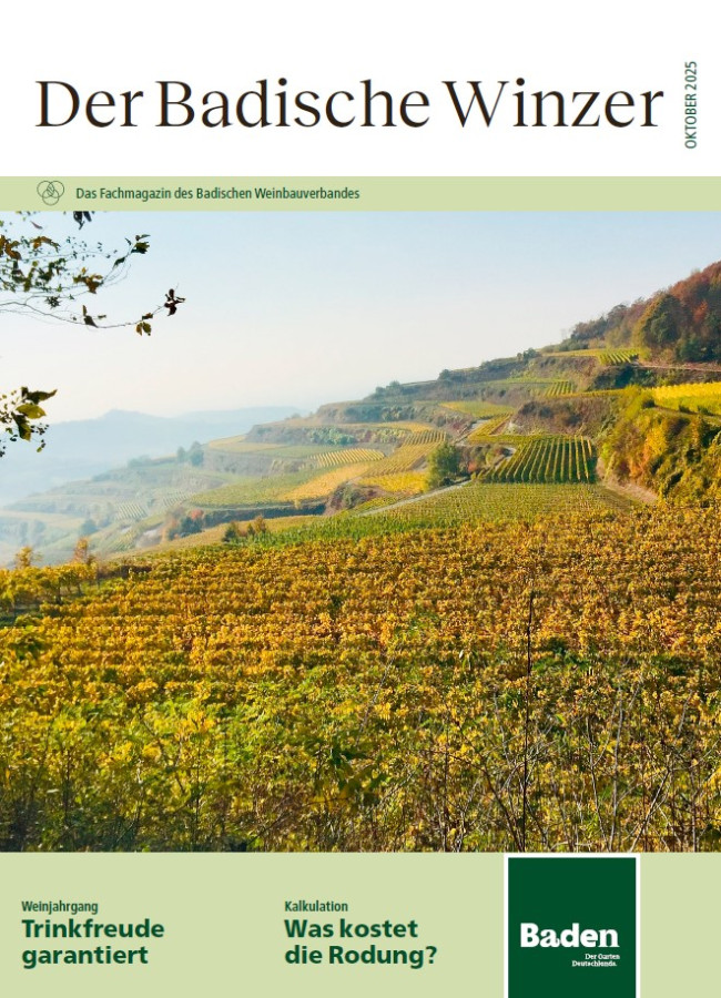 Ausgabe 10/2025