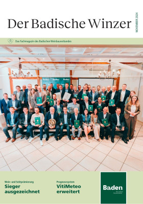 Ausgabe 11/2024