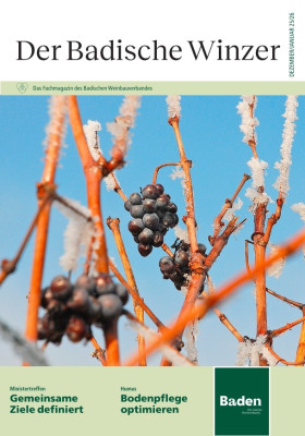 Ausgabe 12_2025/01_2026