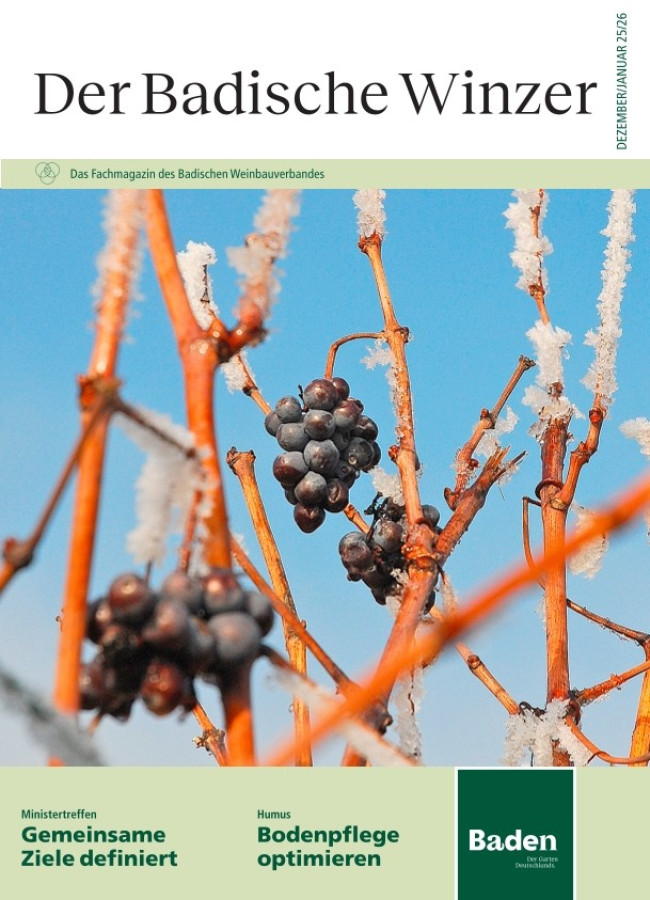 Ausgabe 12_2025/01_2026