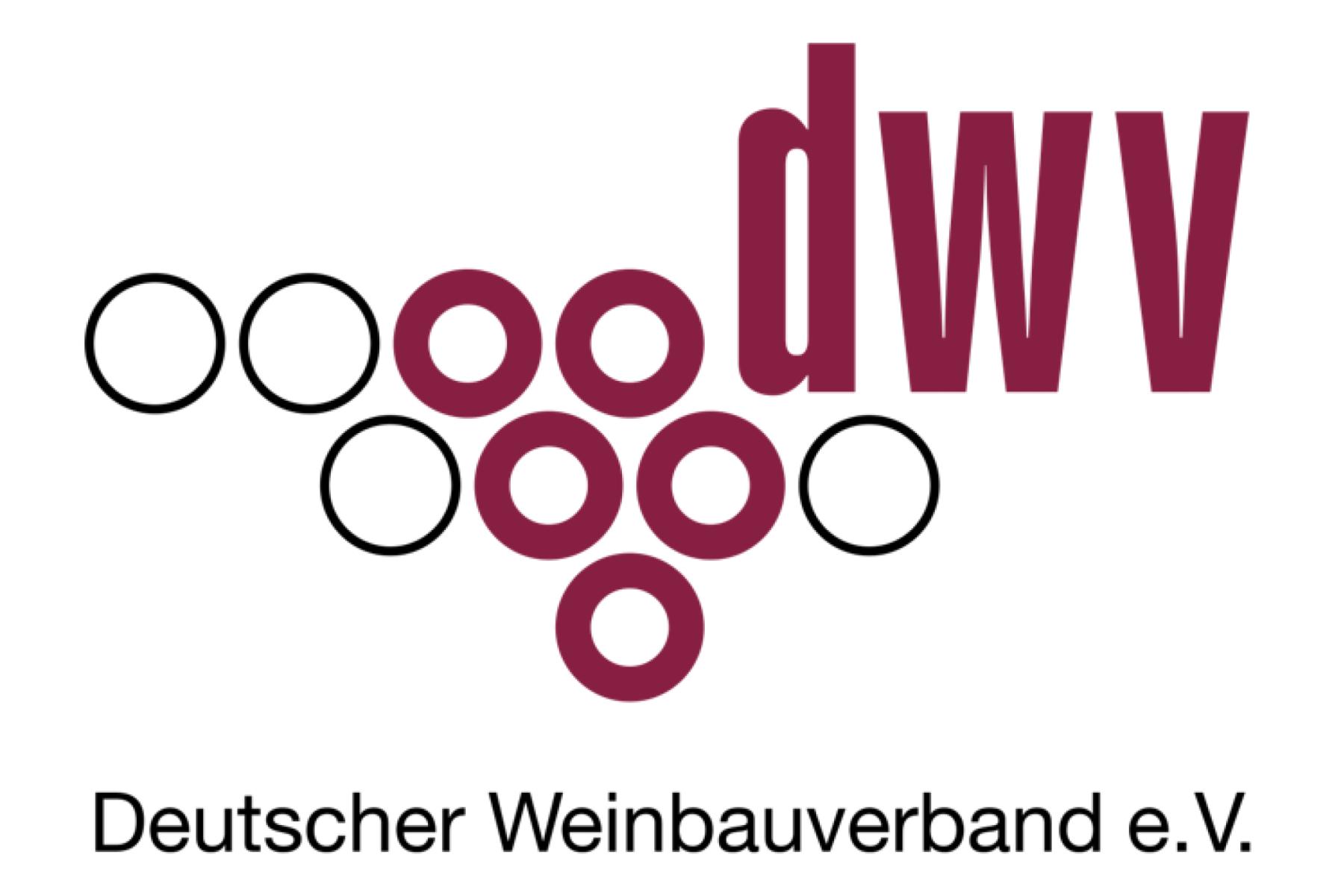65. Internationaler DWV-Kongress 2025 - Jetzt Ticket sichern!