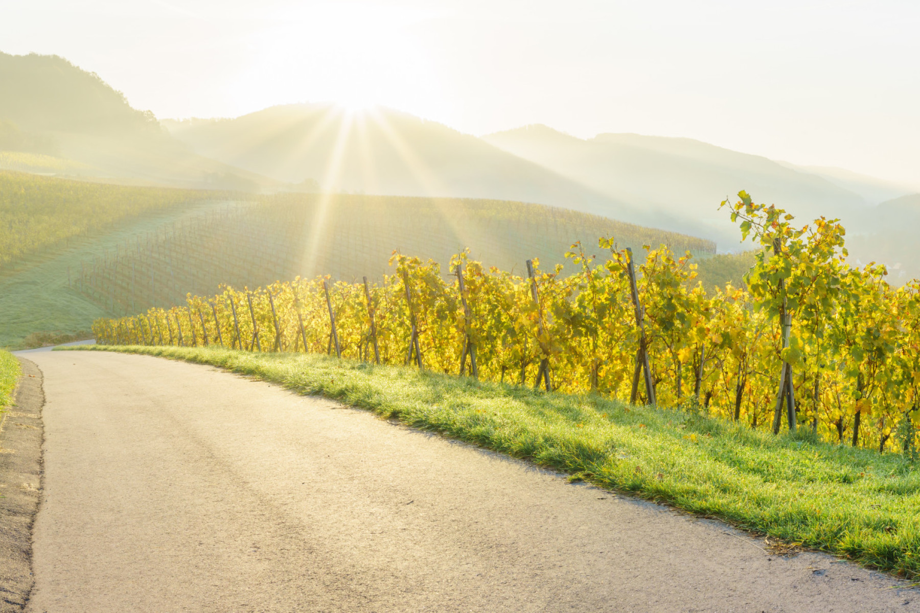 Weinsüden Seminarreihe