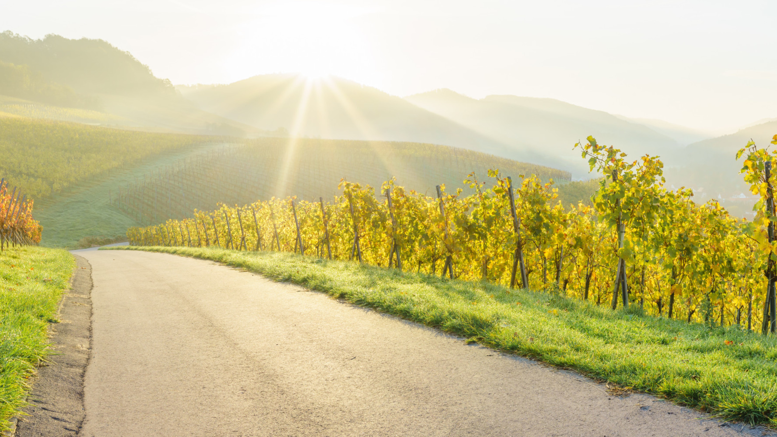 Weinsüden Seminarreihe