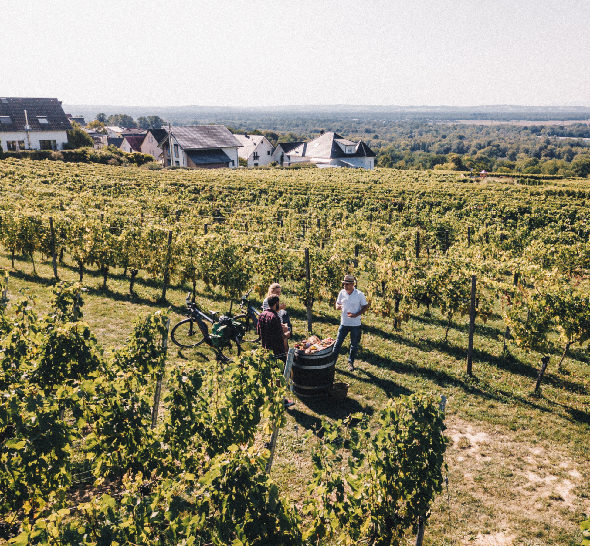 Unsere Weinbaubereiche