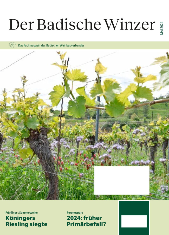 Ausgabe 5/2024