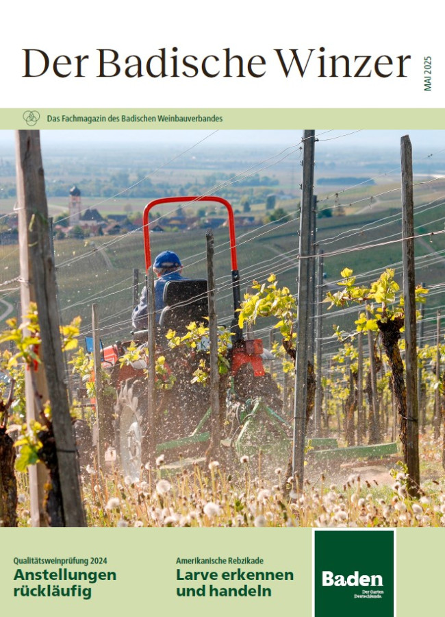 Ausgabe 5/2025